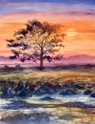 2023-08 Sonnenaufgang nahe der Regnitz bei Erlangen